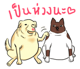 Fat Dog Slow Life sticker #7562924
