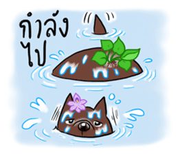 Fat Dog Slow Life sticker #7562928