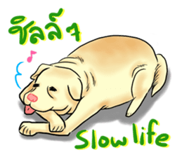 Fat Dog Slow Life sticker #7562929