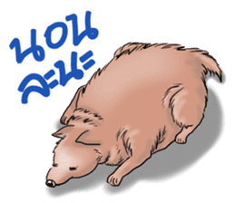 Fat Dog Slow Life sticker #7562930