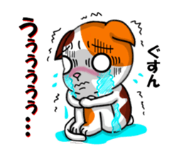 cats cats part2 sticker #7564775