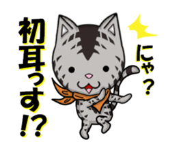 cats cats part2 sticker #7564779