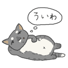 toyama cats sticker #7566437