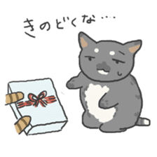 toyama cats sticker #7566439