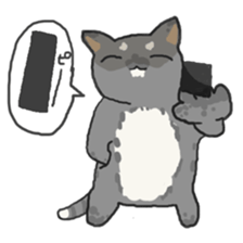 toyama cats sticker #7566442