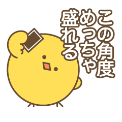 Narcissus Bird