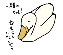 Gaatan. The cute duck. sticker #7571867