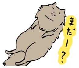 My cat Pel sticker #7573262