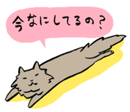 My cat Pel sticker #7573277