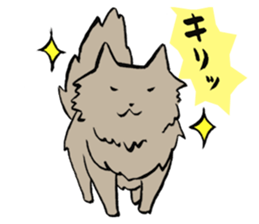 My cat Pel sticker #7573286