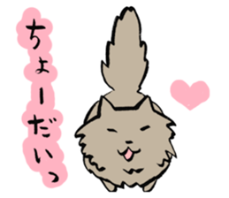 My cat Pel sticker #7573288