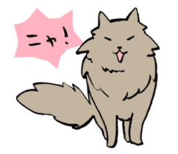 My cat Pel sticker #7573290