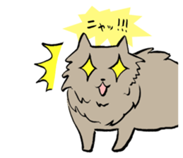 My cat Pel sticker #7573291