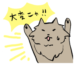 My cat Pel sticker #7573292