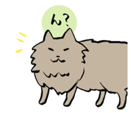 My cat Pel sticker #7573293