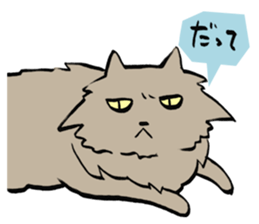 My cat Pel sticker #7573294