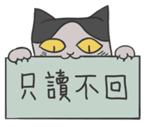 Mr K Loves Surfing sticker #7577376