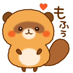 Plump raccoon dog
