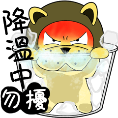 KONI PLANET - PANDA 2 =For Taiwan=