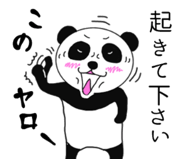 Panda daily conversation sticker #7578824