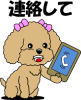 Conversation of Toy Poodle sticker #7581981