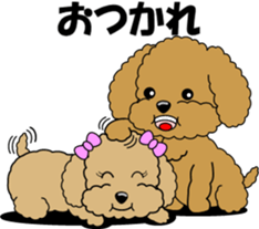 Conversation of Toy Poodle sticker #7581982