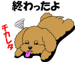 Conversation of Toy Poodle sticker #7581983