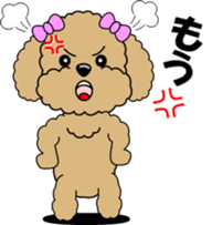 Conversation of Toy Poodle sticker #7581997