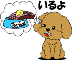 Conversation of Toy Poodle sticker #7582002