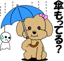 Conversation of Toy Poodle sticker #7582004