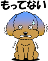 Conversation of Toy Poodle sticker #7582007