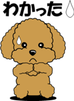 Conversation of Toy Poodle sticker #7582011