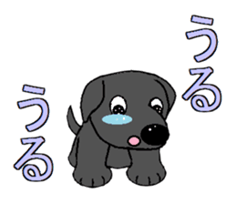 I Love Labrador Retriever sticker #7583111