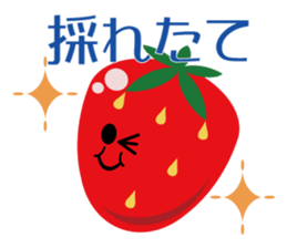 Vegetable our farmers sticker #7590605