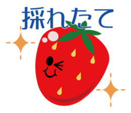 Vegetable our farmers sticker #7590605