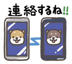 Cute dog PERO-SUKE sticker #7593390