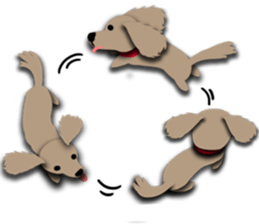 Dachshund says what? sticker #7595138