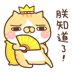 Milk Cat's Crazy Daily