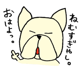 He is frenchbulldog,in Gifu Prefecture sticker #7599621