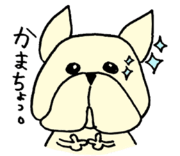 He is frenchbulldog,in Gifu Prefecture sticker #7599623