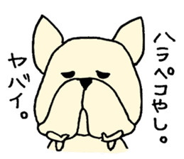 He is frenchbulldog,in Gifu Prefecture sticker #7599625