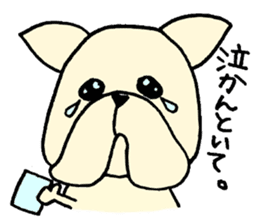 He is frenchbulldog,in Gifu Prefecture sticker #7599627