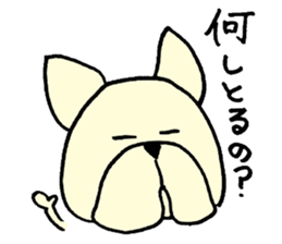 He is frenchbulldog,in Gifu Prefecture sticker #7599648