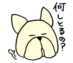 He is frenchbulldog,in Gifu Prefecture sticker #7599648