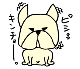 He is frenchbulldog,in Gifu Prefecture sticker #7599652
