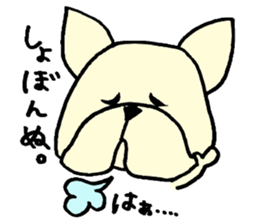 He is frenchbulldog,in Gifu Prefecture sticker #7599653