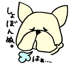 He is frenchbulldog,in Gifu Prefecture sticker #7599653