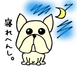 He is frenchbulldog,in Gifu Prefecture sticker #7599654