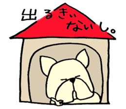He is frenchbulldog,in Gifu Prefecture sticker #7599658