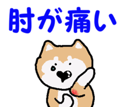 Shiba inu MOMO chan the third as well! 4 sticker #7599786